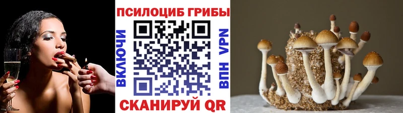 Псилоцибиновые грибы мухоморы  купить закладку  Камбарка 