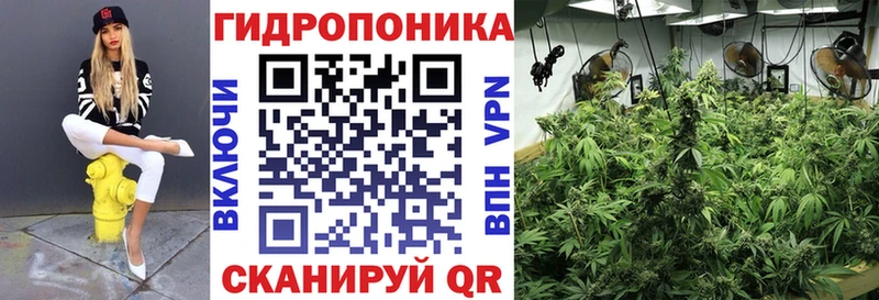 Конопля ГИДРОПОН  Камбарка 